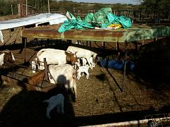 090509_South_Africa 104